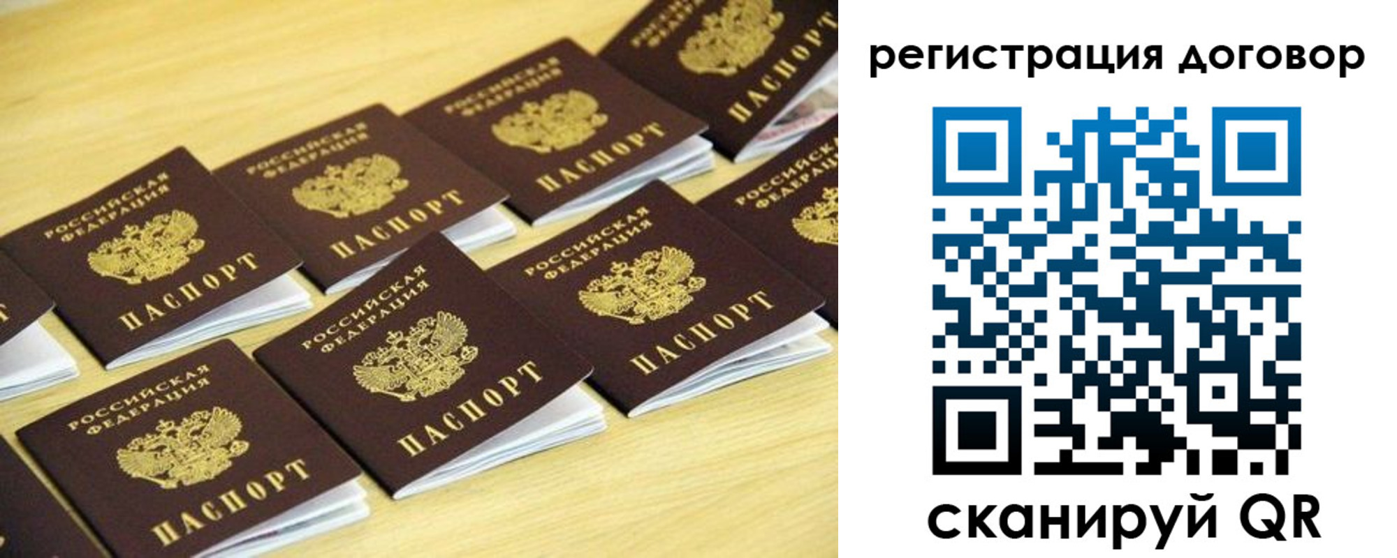 купить прописку в Звенигово